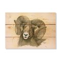 Wile E. Wood 15 x 11 in. Bartholets Big Horn Wood Art DBBH-1511